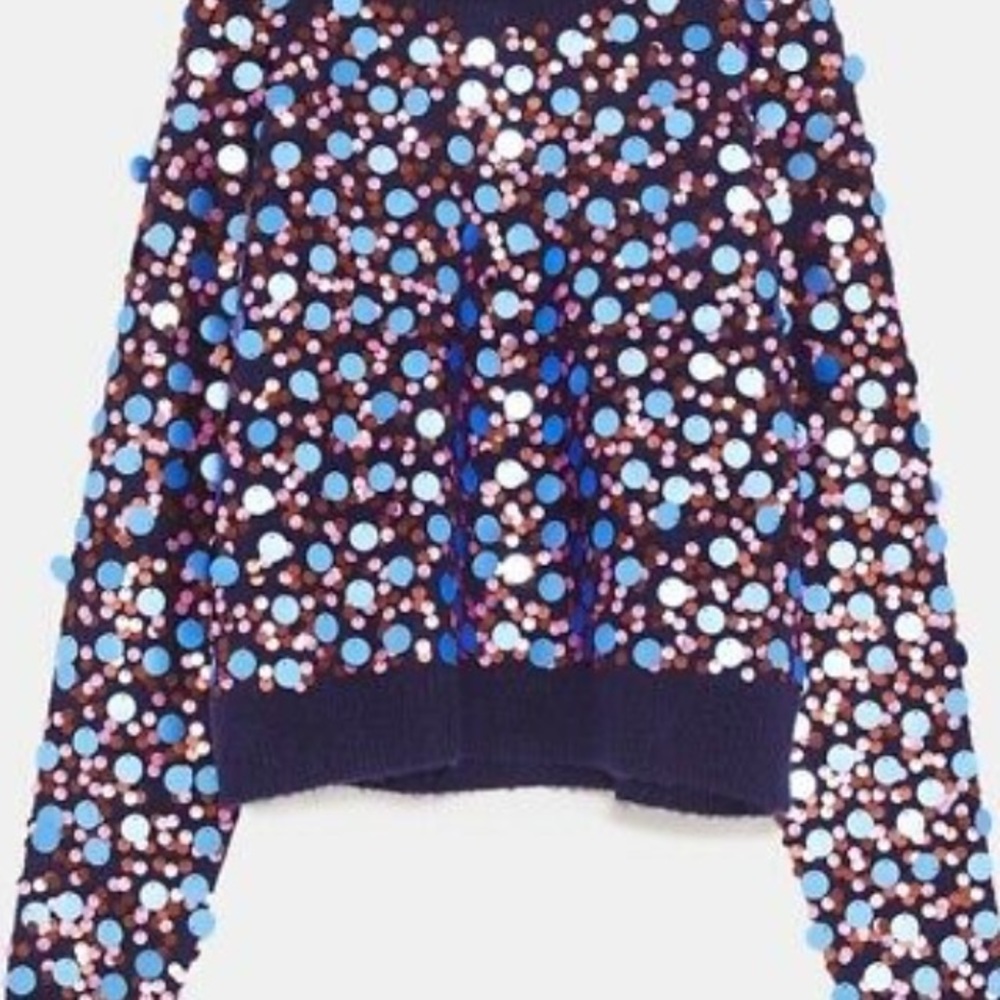 Zara sequin sweater